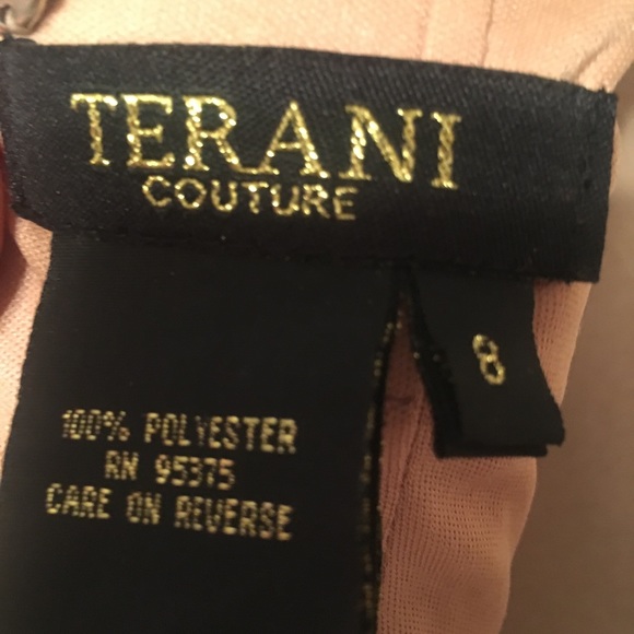 Terani Evening Gown - Picture 5 of 6